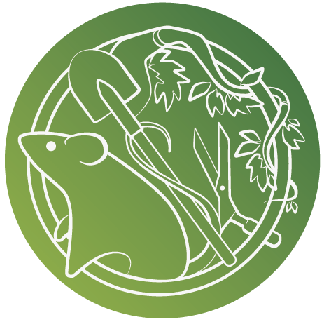 Logo DT service green
