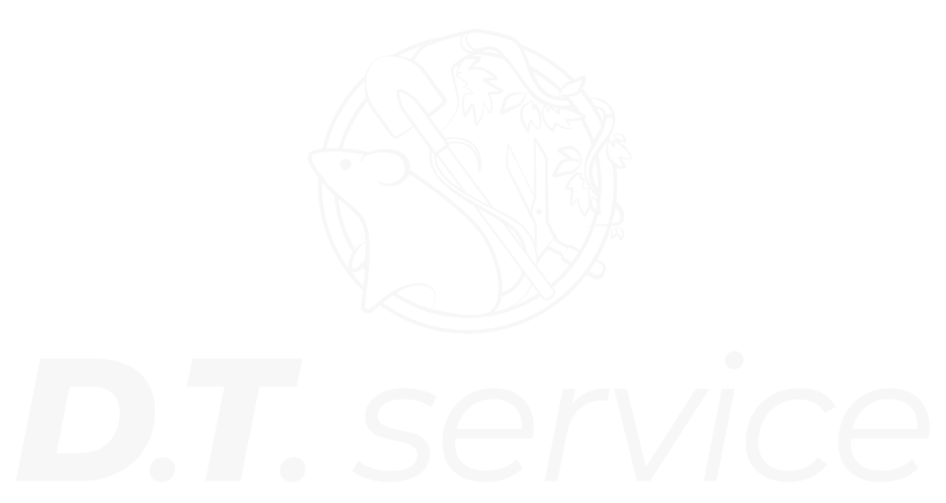 Logo DT service light